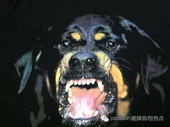 时尚界的动物元素,动物进化论