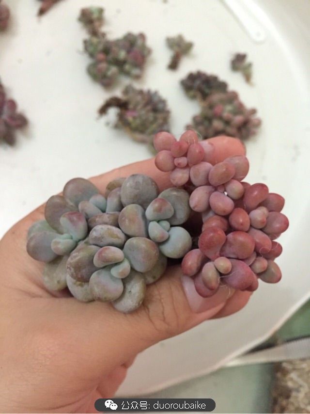 谈谈我的看法和感想,谈谈我对自己的看法