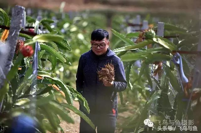 最好的旅程是在家陪伴,最好的旅行是陪伴