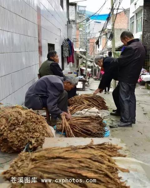 东溪古镇街景,苍溪县古镇全景图