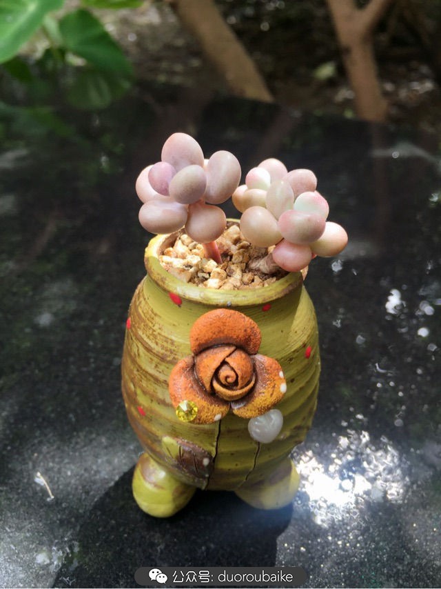 谈谈我的看法和感想,谈谈我对自己的看法