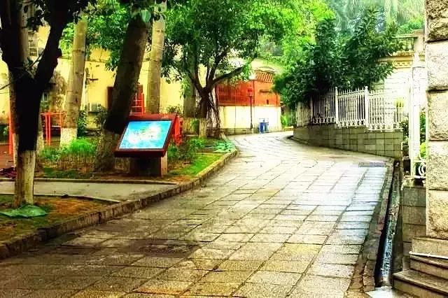 错过美丽的风景,厦门鼓浪屿的风景特别美