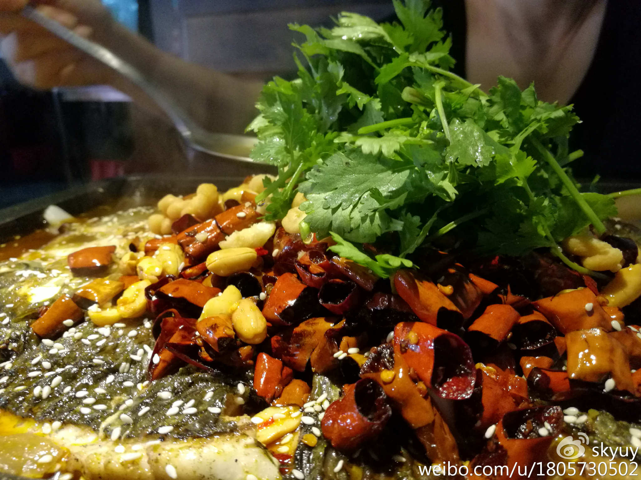 荣耀v8手机测评,荣耀至尊v8平板测评