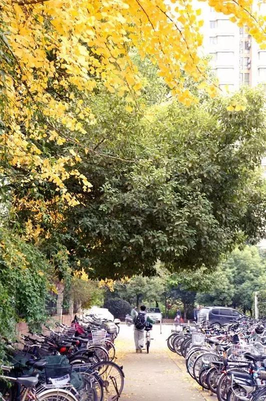 所有物是人非里我最怀念你,南京二十九中