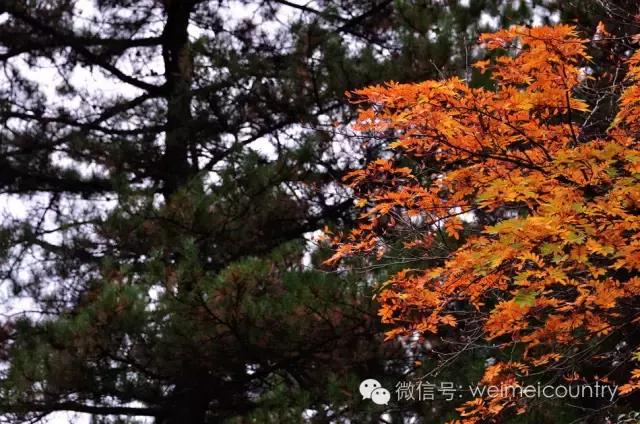 羊茸哈德村落照片,羊茸哈德附近景点