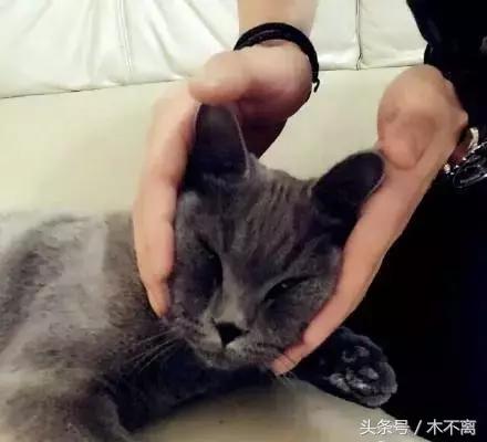 鹿晗对你心动的瞬间,鹿晗的对你爱不完