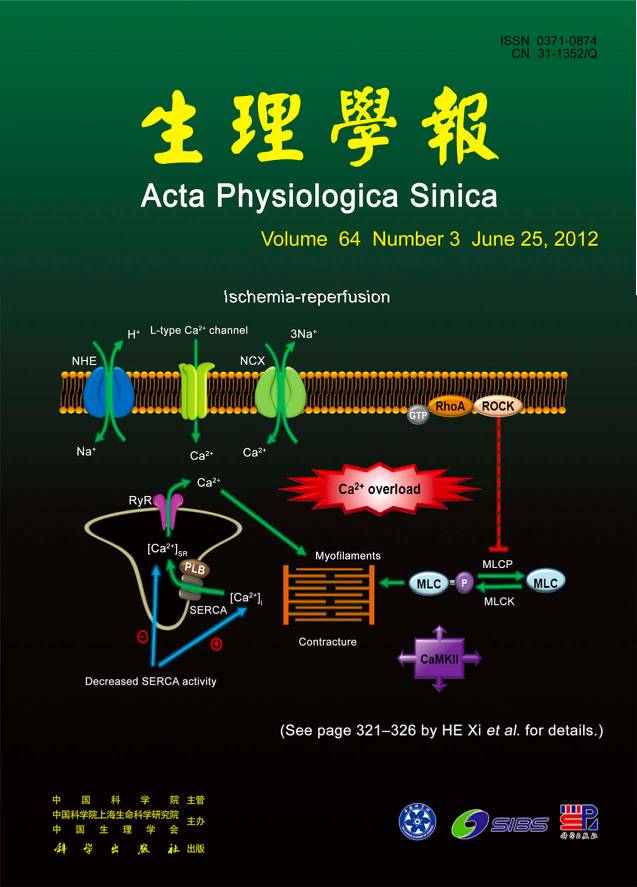 被遗忘的十大重要科学家,被遗忘的科学巨匠