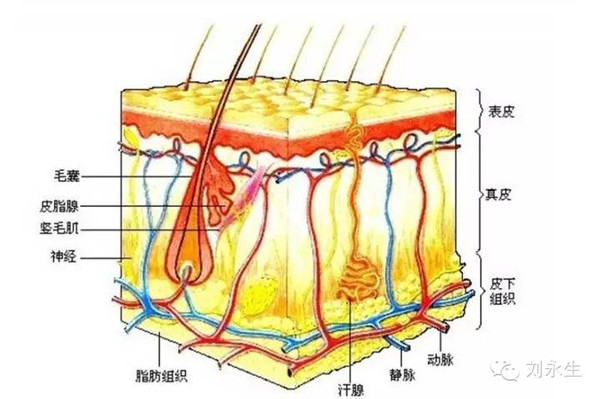 疮肿的最佳治疗方法,疮疡治疗的方法