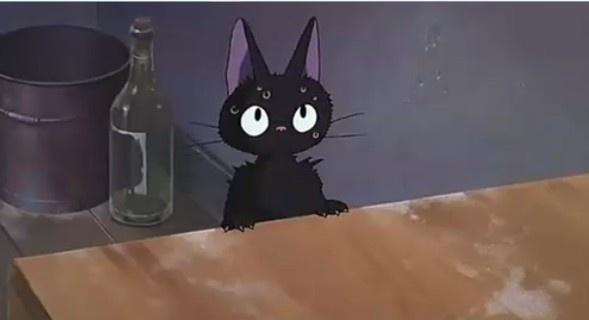 动漫卡通猫的名字,可爱动漫猫图片