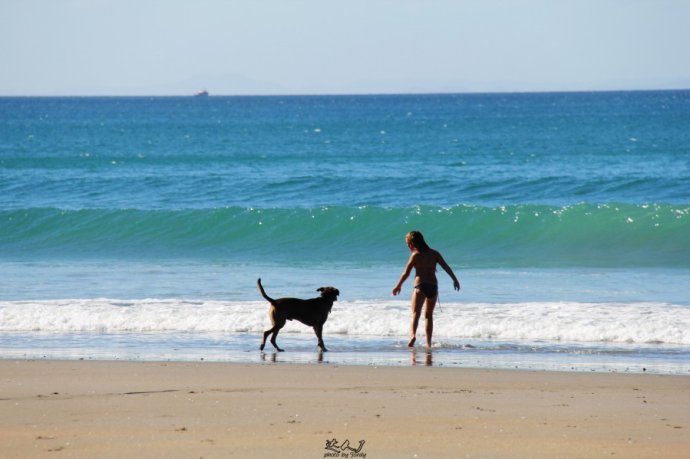 到怀希基岛,品酒-看海