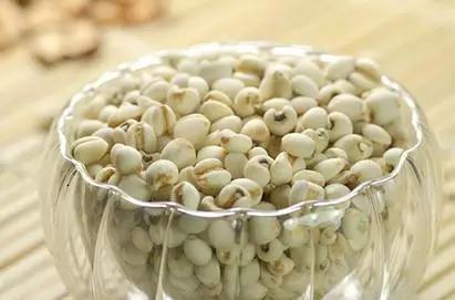 什么薏仁祛湿效果最好,薏仁有祛湿的功效吗