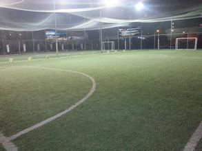 足球场球迷疯狂闯进场内,足球疯狂球迷冲场庆祝