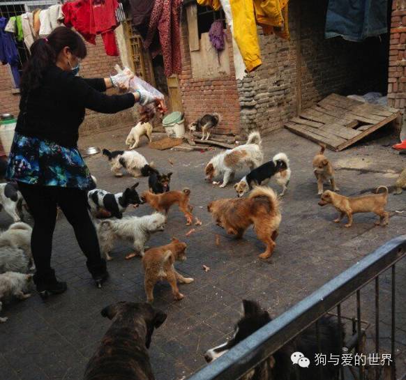 他们是最可爱的人作文350字 (他们是最可爱的人作文)