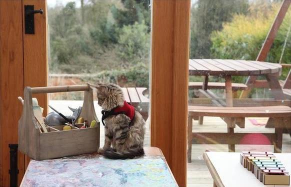 绘画对儿童情商培养的积极作用,绘画对自闭症儿童的治愈效果