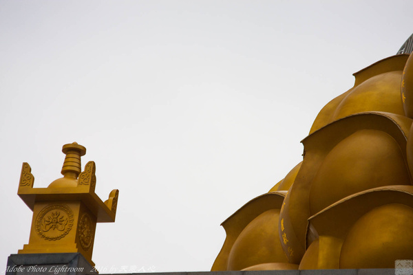 邮轮游首日,邮轮初体验