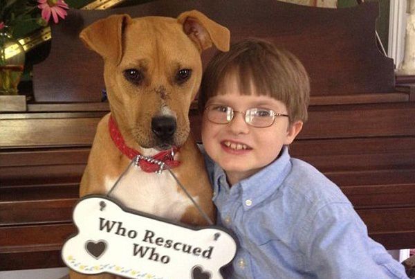 领养了被遗弃的狗狗,领养了一只被弃养的狗狗