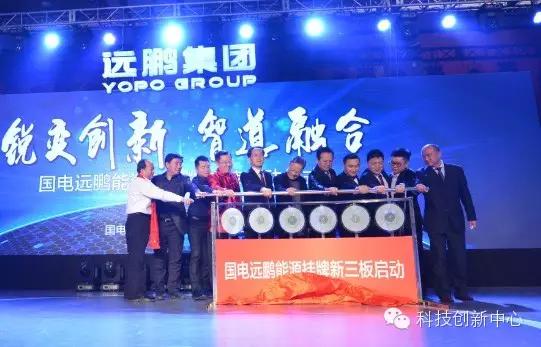 北京国电远鹏科技股份有限公司,国电远鹏