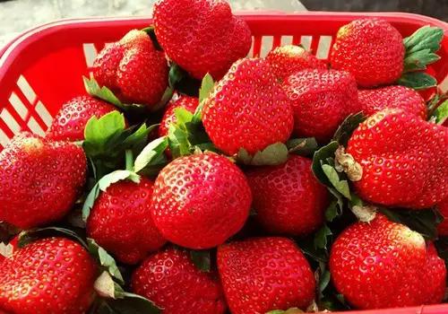 从东莞出发,不到两小时,就可以感受到靓爆灯的童话世界！