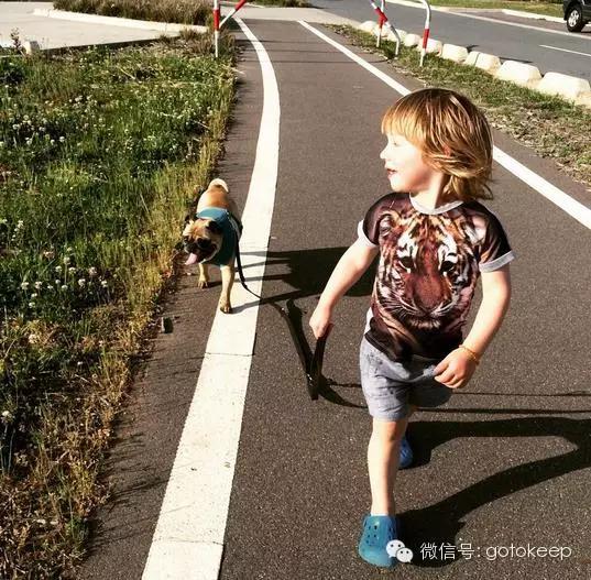 八块腹肌的小怪兽,腹肌小怪兽