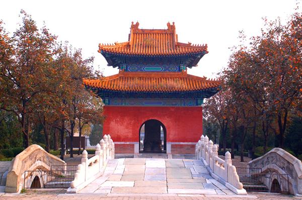 “苹添秋色”—租个房车去旅行