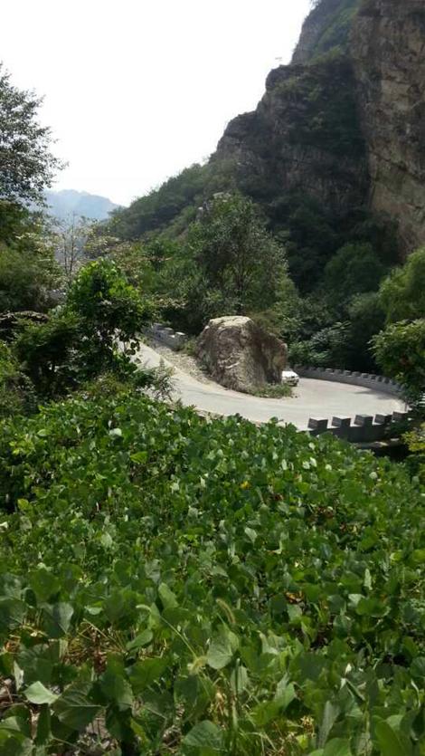 “苹添秋色”—租个房车去旅行