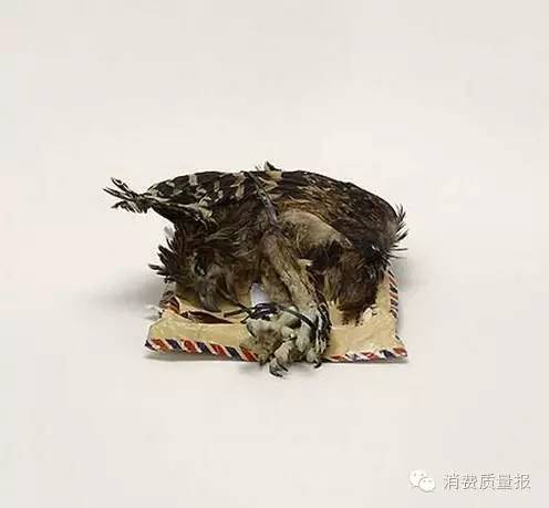 你知道你和行李经过安检时，电脑上会显示什么吗？