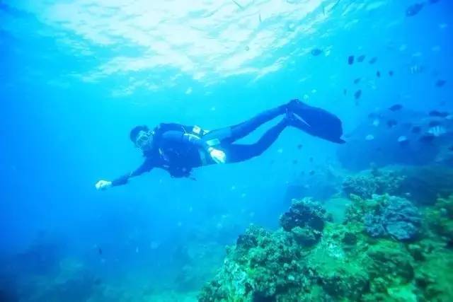 三亚旅游5天名额免费送,三亚旅游最新优惠活动