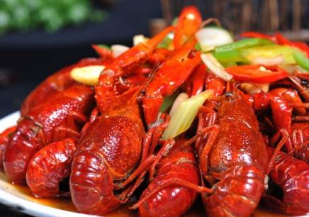 11月机票白菜价错峰出游正当时,重庆4月特价机票