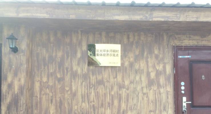 铜仁市万山区大坪乡川硐村,万山区大坪乡川硐村枇杷