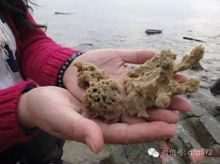 自驾游新手路线推荐,最省钱自驾游攻略