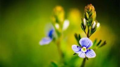 众筹项目失败退款吗,项目众筹失败