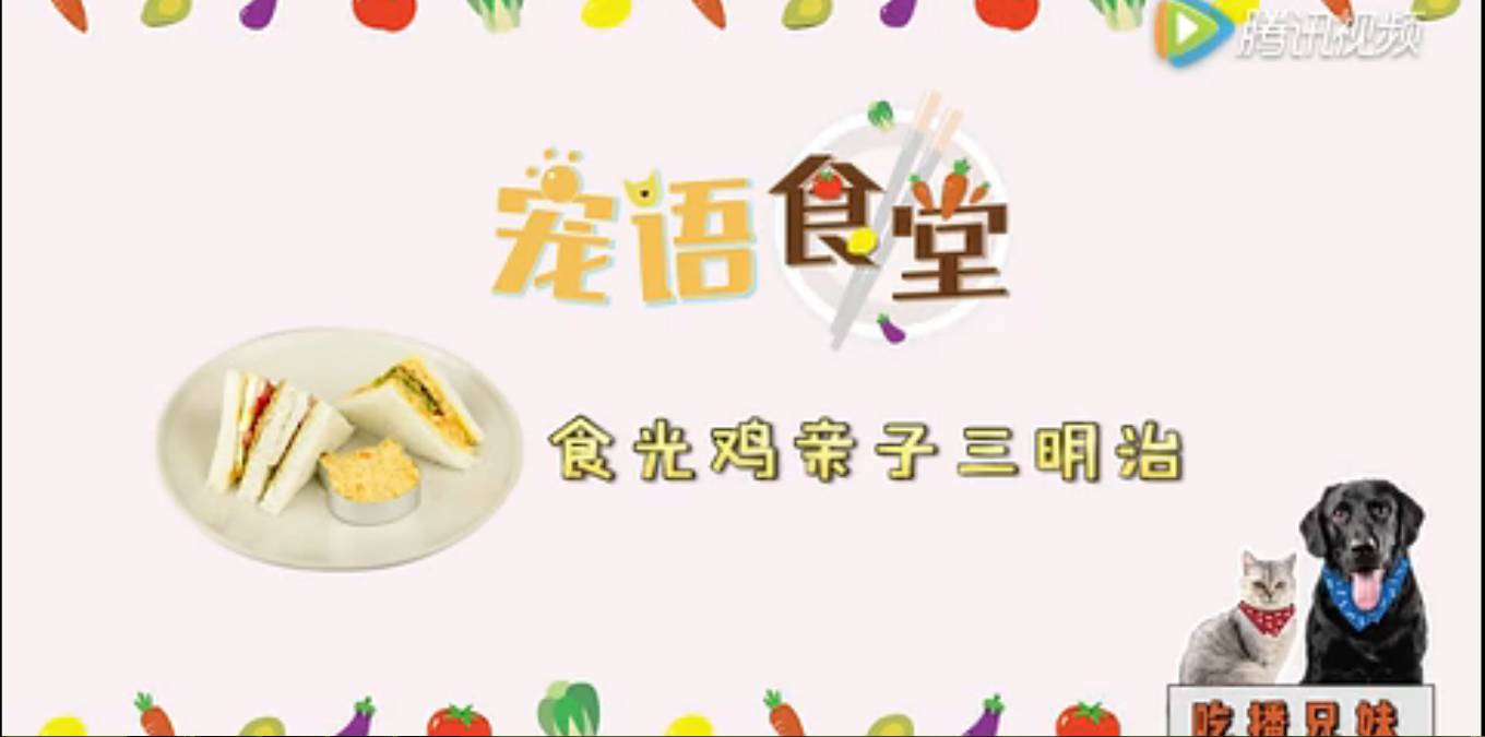 她懂宠物的一言一行，并且做了一个宠物界的“大众点评”