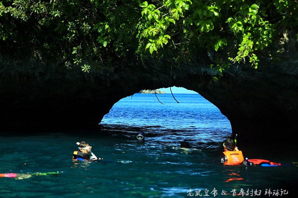 帕劳海底鲨鱼图片大全,帕劳海洋奇观之谜