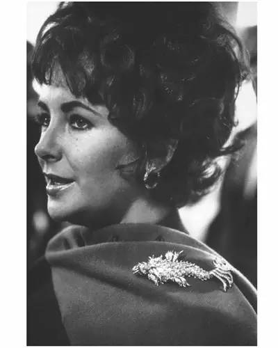 从路人到女神唱的歌,从路人到女神