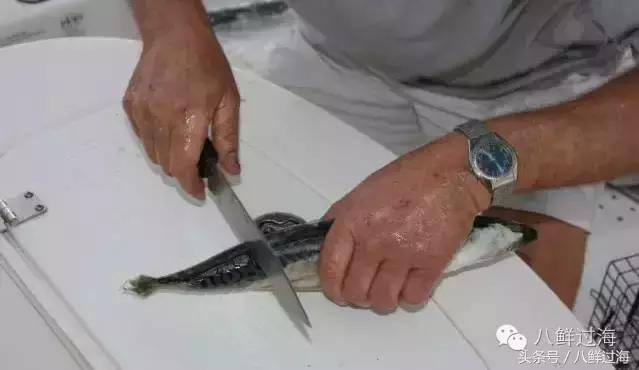 波士顿龙虾竟然是超大号小龙虾,波士顿龙虾绝对鲜活