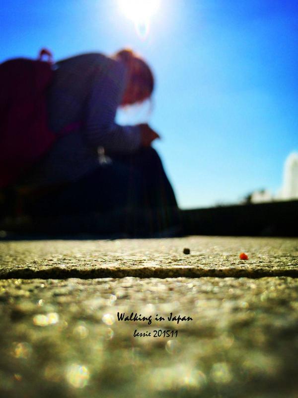 霓虹国秋日暴走之旅,漫步日本旅行游记