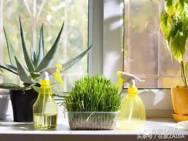 加湿器如何解决干燥问题,加湿器能解决干燥吗