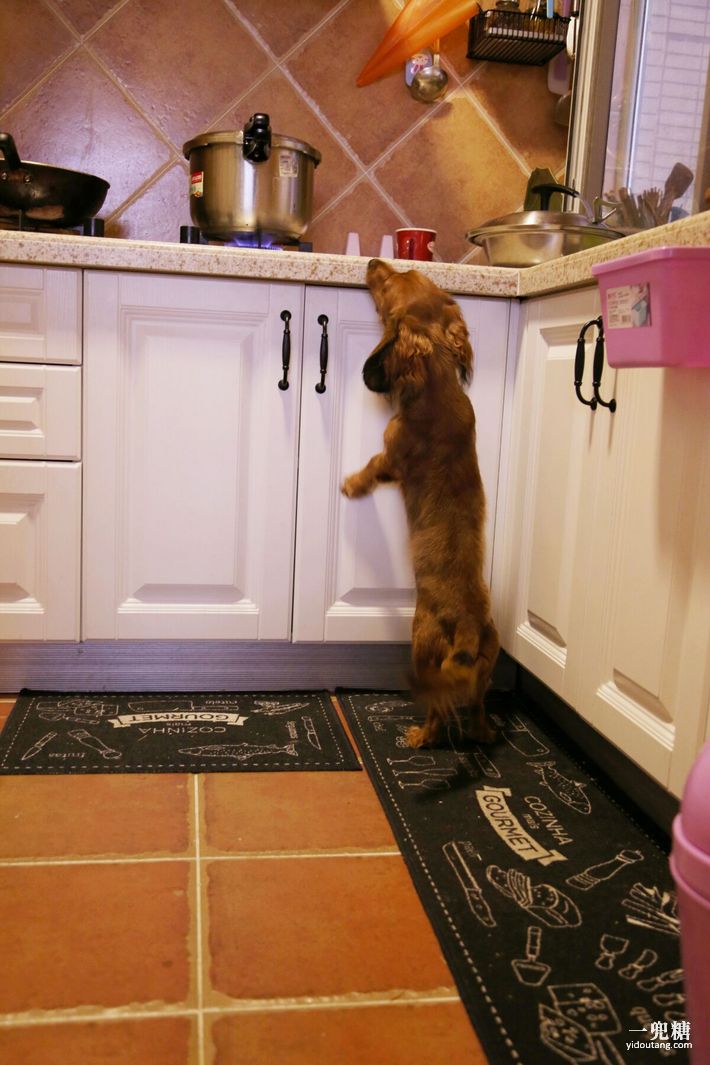 哪一种电暖炉比较好,轻奢电暖炉