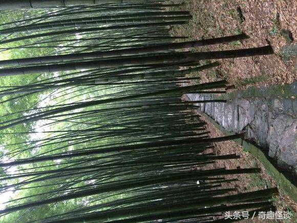 我在非洲工作的日子，给大家介绍下非洲的风土人情