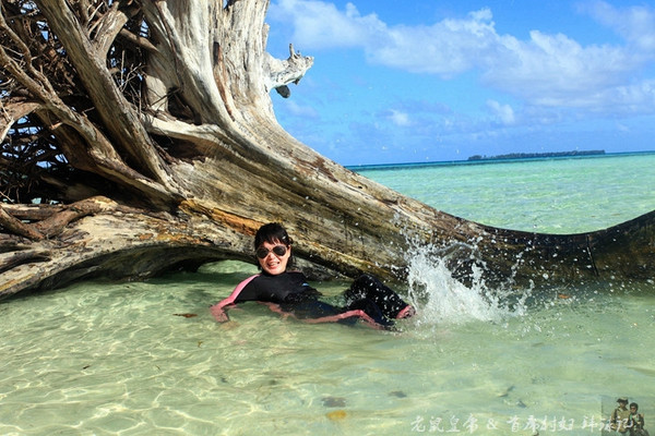 帕劳海底鲨鱼图片大全,帕劳海洋奇观之谜