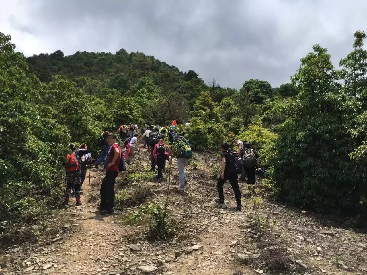 温州雁荡山徒步攻略,雁荡四尖徒步路线