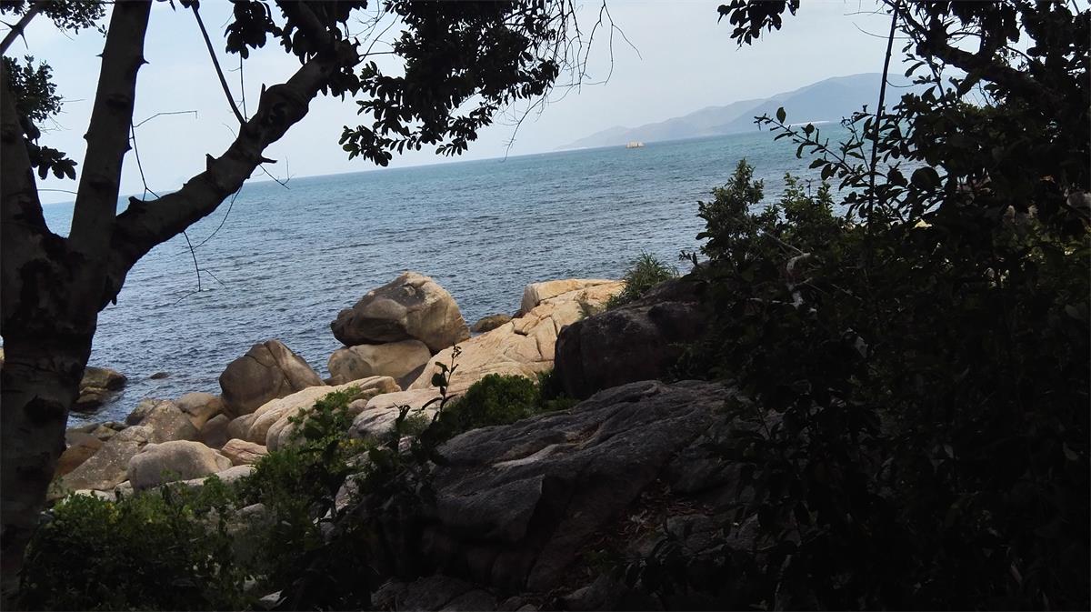 记录越南芽庄之旅第六天 (越南芽庄值得去吗)