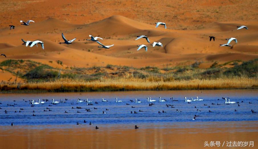 外媒列出中国十大最富有城市,全球人均最富有的城市