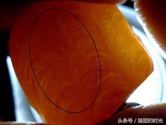 如何鉴定再造蜜蜡和老琥珀,琥珀蜜蜡压制方法视频