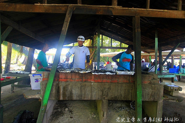 帕劳海底鲨鱼图片大全,帕劳海洋奇观之谜