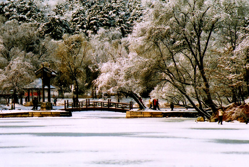 和初雪最温馨的相遇,和初雪撞个满怀