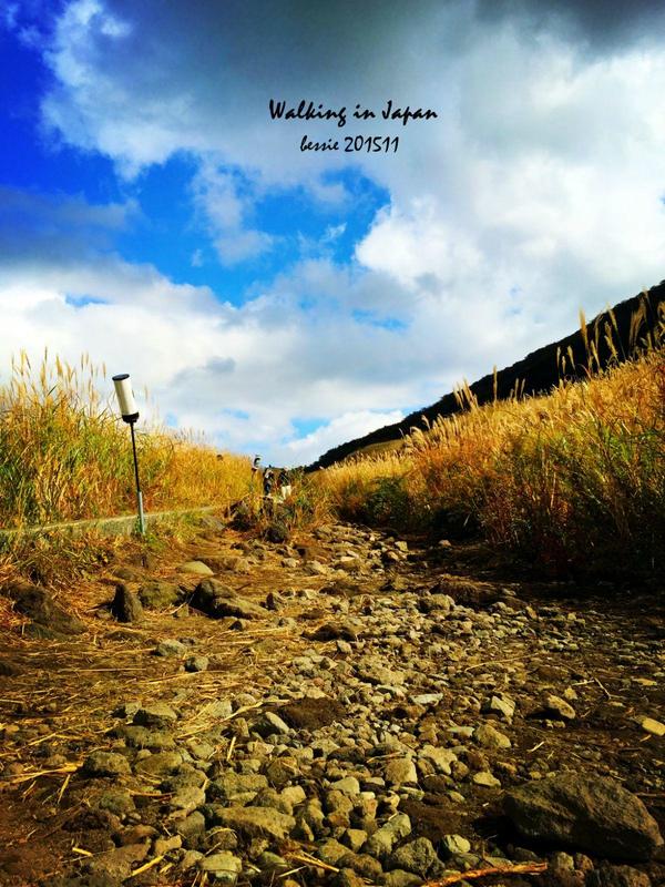 霓虹国秋日暴走之旅,漫步日本旅行游记