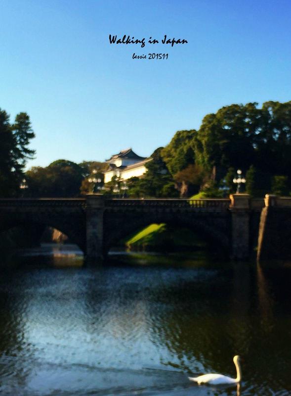 霓虹国秋日暴走之旅,漫步日本旅行游记