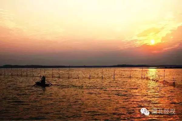 武汉秋天不可错过的美景,武汉踏春打卡地