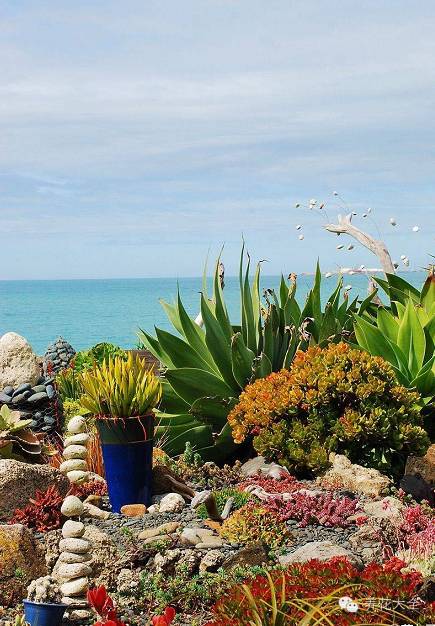 省下来的钱都用来种多肉了 (双十一福利多肉花盆)